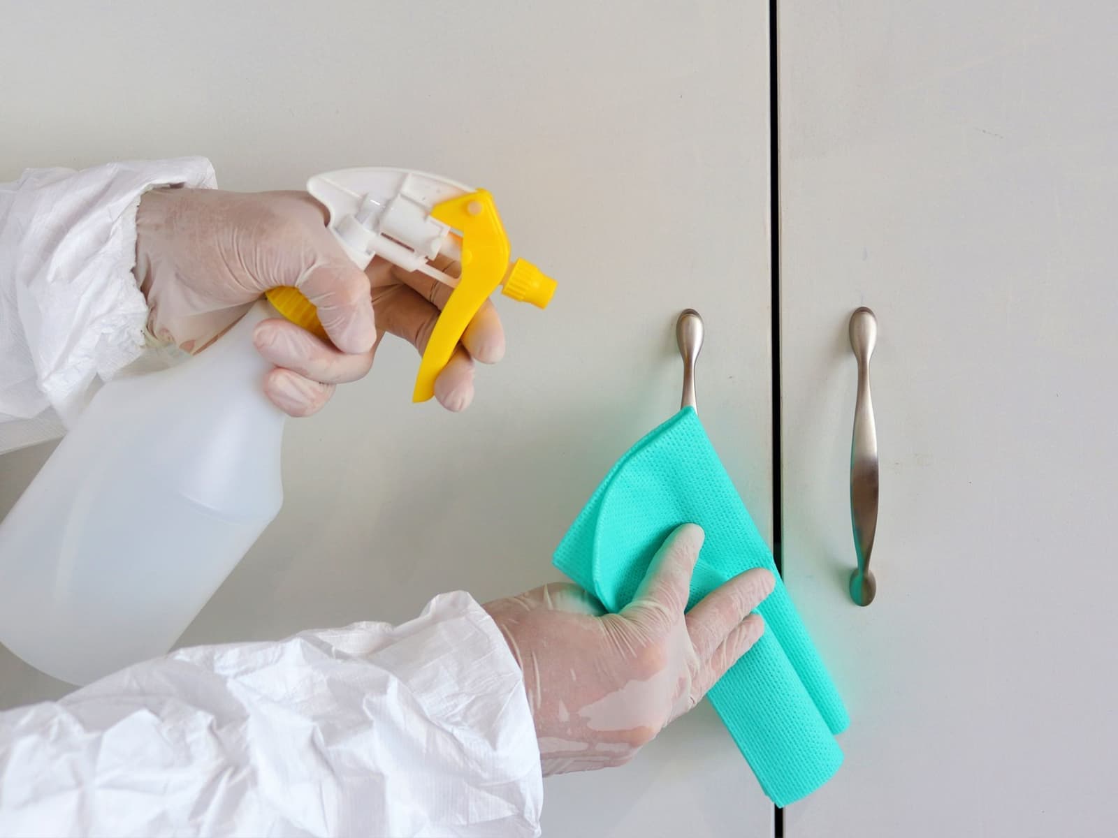 Disinfection & Sanitization