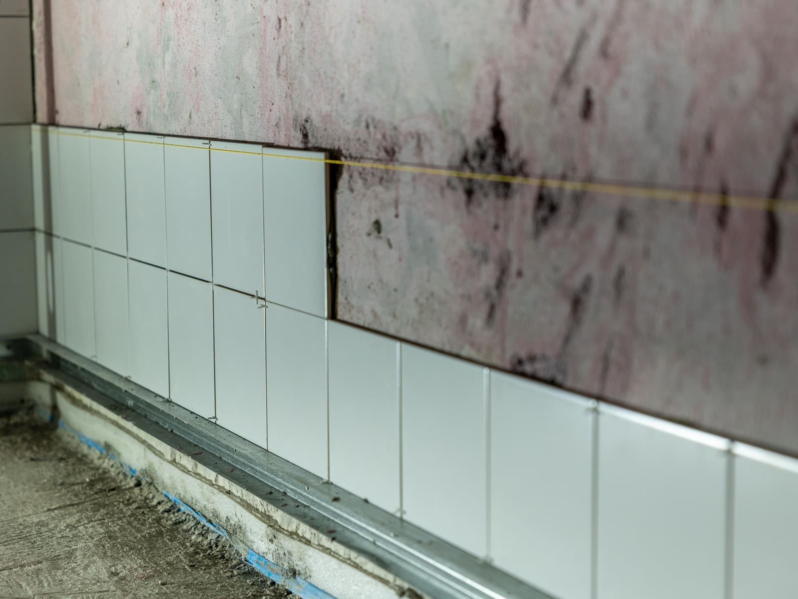 Mold Removal & Remediation